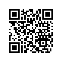 704905185 Rt-S Luggage Decal