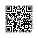704905222 CAN-AM Decal