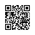 704905290 CAN-AM DECAL