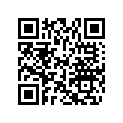 704905336 Side Decal