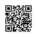 704905547 ST-S Spyder Decal