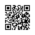 704905557 RS SPY DECAL