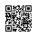 704905576 Console Decal