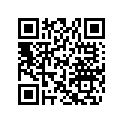 704905589 Console Decal