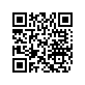 704905658 CAN-AM DECAL