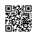 704905942 Can-Am Decal