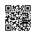 704906058 International Decal, Multilingual