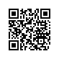704906111 Can-Am Decal