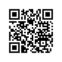 704906508 RH Lateral Middle Decal