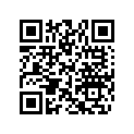 704906990 CAN-AM DECAL