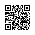 704907833 LH Decal &quotPro+"