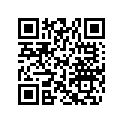 704907838 RH Decal &quotMAX PRO+"
