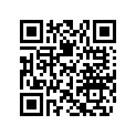 704908511 RH Side Decal &quotMaverick XRC"