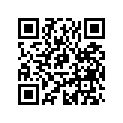705000253 Levier         *lever