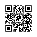705000261 Amortisseur    *shock