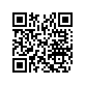 705000673 MIRROR SUPPORT