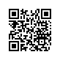 705001081 Pare-chocs     *bumper
