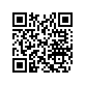 705002808 Front Bumber