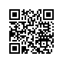 705400919 XT 14