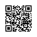 705401543 12" Beadlock