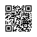 705402603 TIRE_29X9R14 F