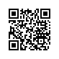 705500274 CHAIN