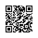 706000375 WASHER