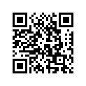 706000519 Lever