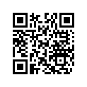 706001105 Shock