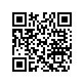 706002406 Shock