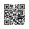 707000038 Carburateur    *carburator