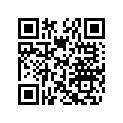 707000252 CABURETOR SUPPORT