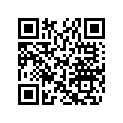 707000774 Lever