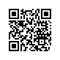 707200030 Anneau         *ring