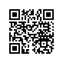 7073880 Decal, Lh, Hd.side, Bott.(storm)