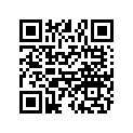 7074835 DECAL,LH,SIDEWALL