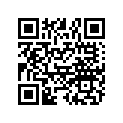 7074863 DECAL,LH,RUBRAIL,TOP,RR