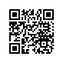 7075483 Decal, Rh, Rubrail Btm.