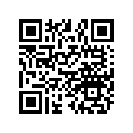 7075502 DECAL,RH,RUBRAIL BTM.