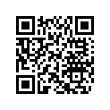 707600089 Isolant Silen. *insulator