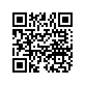 7076335 DECAL,LH,SIDEWALL