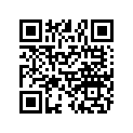 7076458 Decal, Lh, Rubrail, Btm.