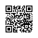 7078167 Decal-"600 High Perf Twin.", L