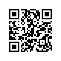 7079456 Decal-stripe, "xtra-12", Rh