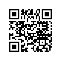 7079483 Decal-tunnel, "136", Lh