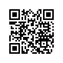 709400202 Mirror