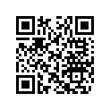 710000300 Support        *support