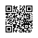 710000360 Clignotant     *flasher