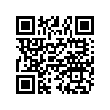 7172162 Decal-"liberty 500 Ves", Rh