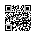 7172235 Decal-"liberty 600 Ves", Lh